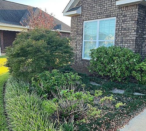 Variety of flowers/trees