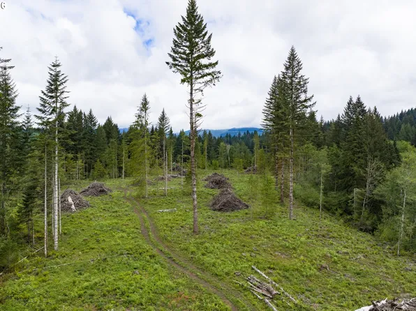 N Fork Rd, Washougal, WA 98671