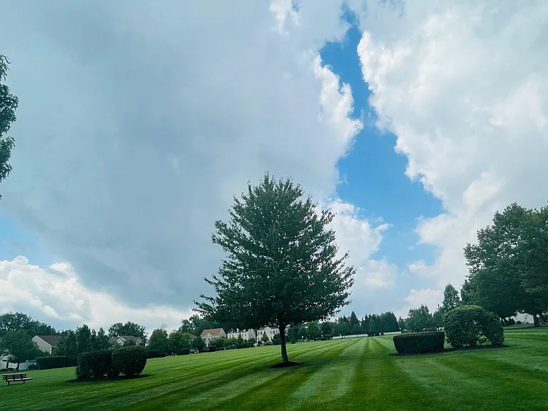 53 Williams Dr — Photo 34