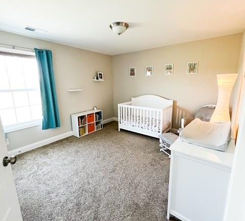 3rd image of 1493 Wild Fern Ln