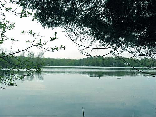 1st image of Kleutsch Dr