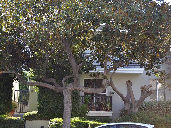 Front View of Building