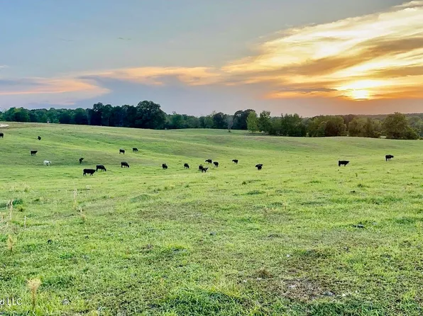 1955 Adams Rd, Oakland, MS 38948