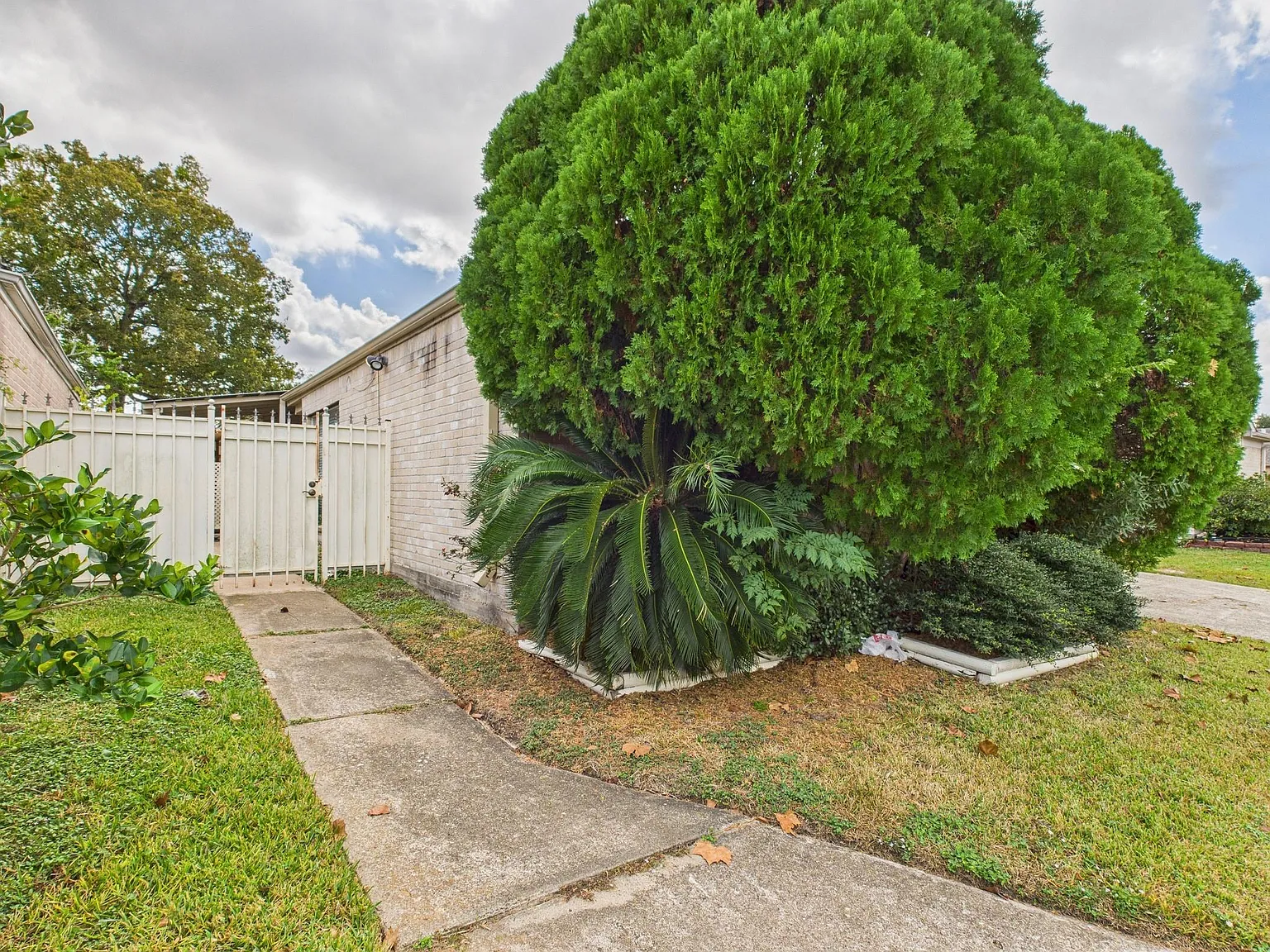 3 bed, 2.0 bath, 2004 sqft, $2,799 — Photo 3