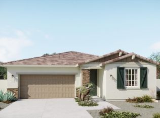 Daisy Plan, Wildflower at Blossom Rock, Apache Junction, AZ 85120