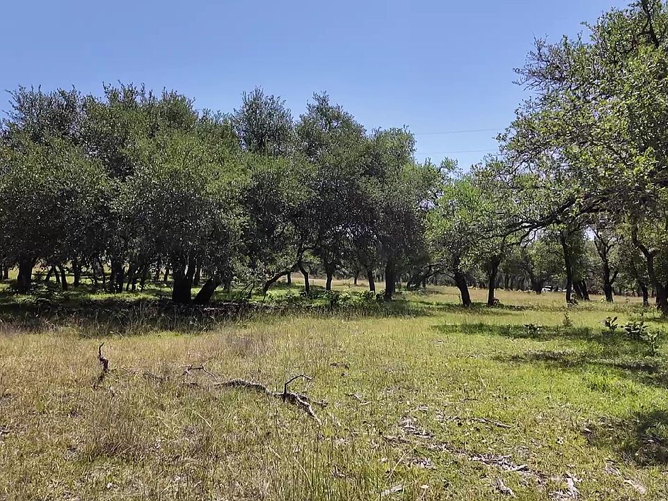 2nd image of 707 Treibs Rd