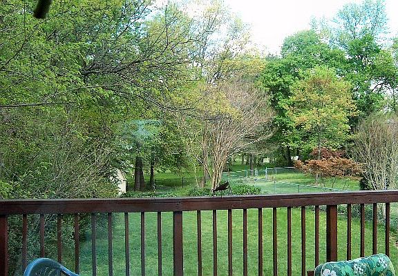 view from Deck, Exit to park through back gate