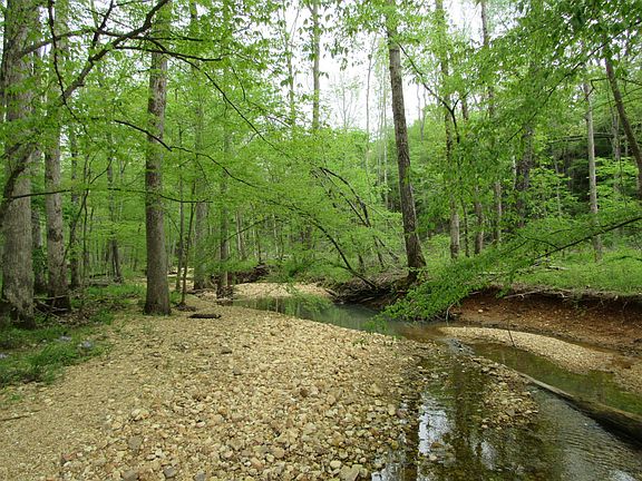 5th image of 0 Old Nashville Hwy