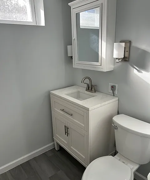 Lower level bathroom