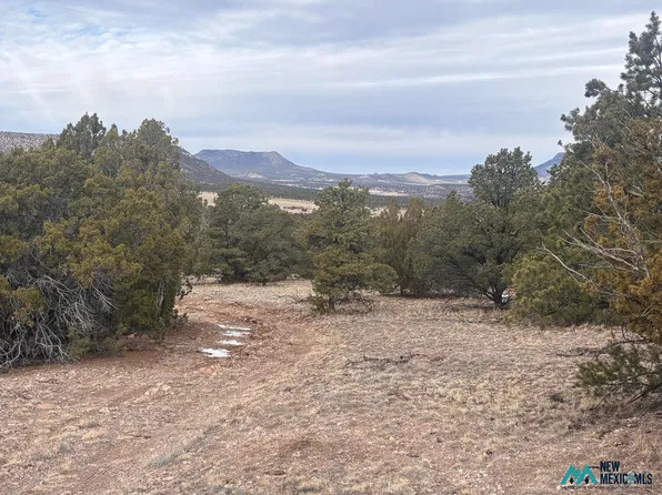 227 Tee Pee Trl #195, Datil, NM 87821