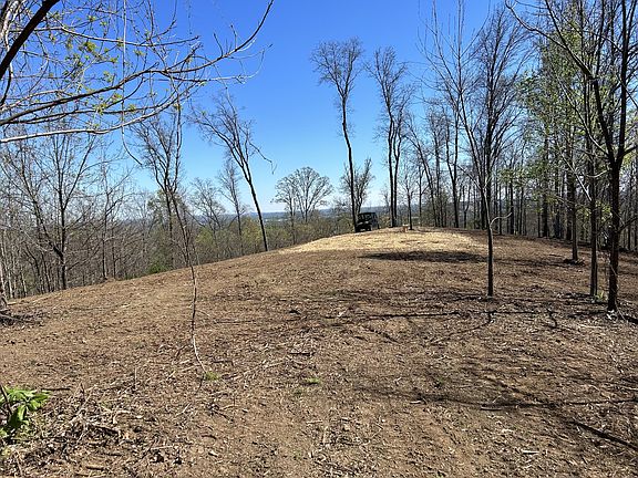 3rd image of 337 Carellton Dr