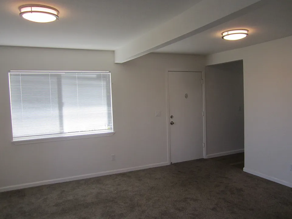 Living room front door with entrance to kitchen on right