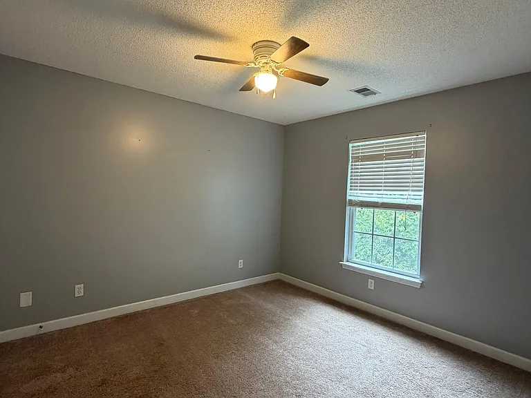 693 Cotton Branch Dr — Photo 11
