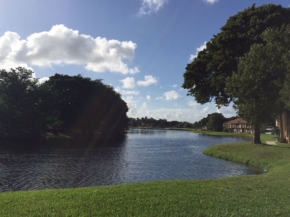 Lake view