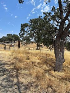 17345 Hillcrest Dr, Corning, CA, 96021