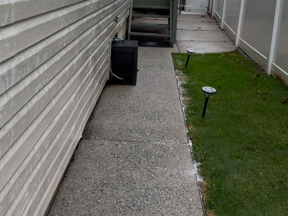 Side entrance, 4 steps up