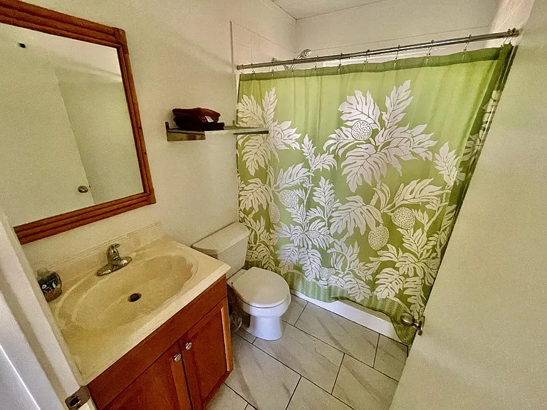 2644 Kamehameha V Hwy — Photo 20