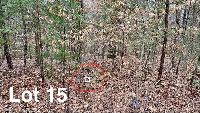 1st image of 15 Woods Haven Ln