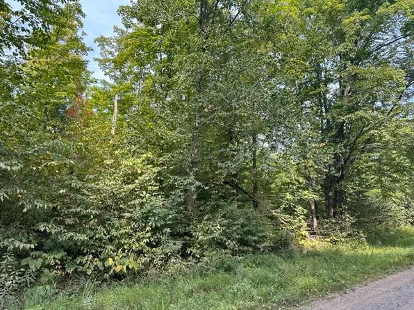 0 Helsing Road, Ojibwa, WI 54862