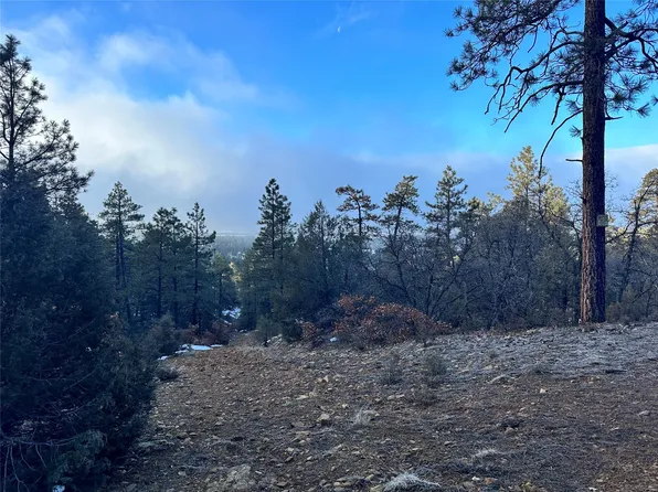 Lobo Rd, Chama, NM 87520