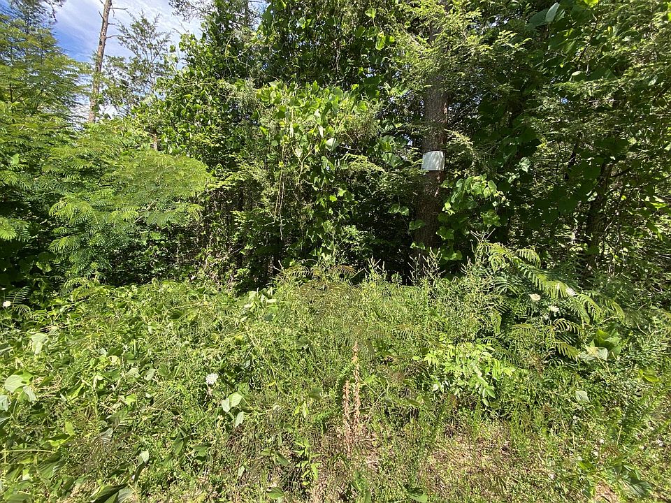 1st image of 0 Buttonwood Dr Lot 62