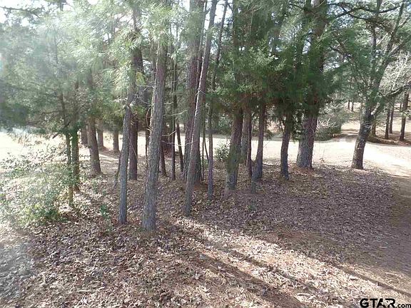 2nd image of 414 E State Highway 204