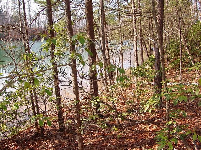 1st image of LOT 20 Mountain Vista Dr