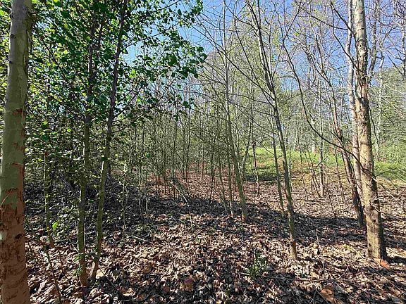 5th image of 4100 Medley Rd