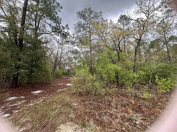 3rd image of 9211 Dorothy Rd