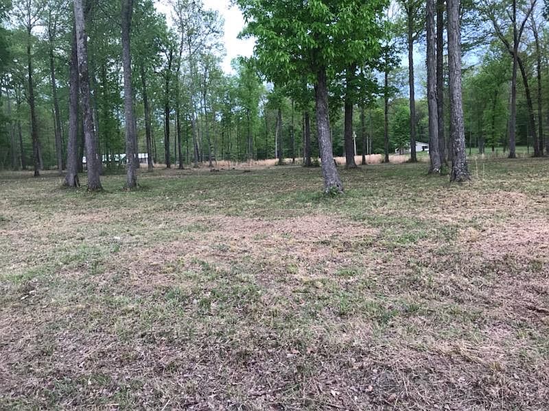 1st image of 122 Tiger Trl Lot 43