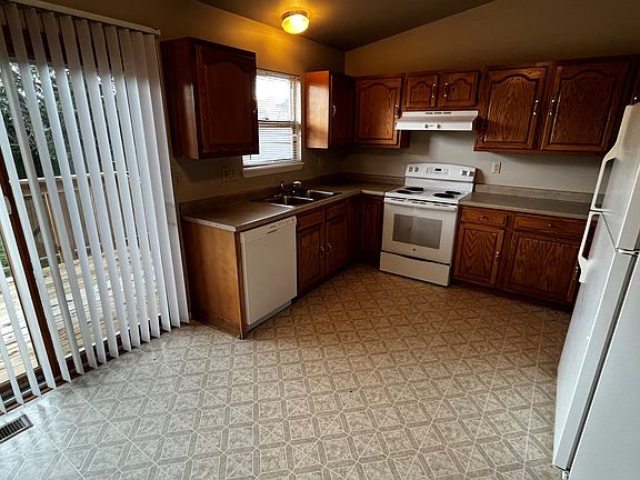 982_daffodil_b_08142024