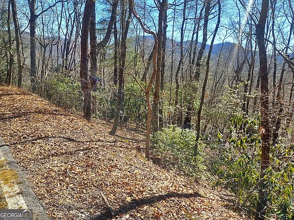 4th image of LOT 41 Pipetrack Gap Rd