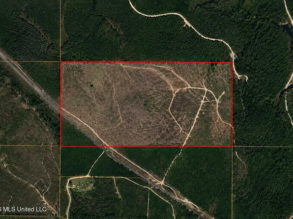 80 Acres, Richton, MS 39476