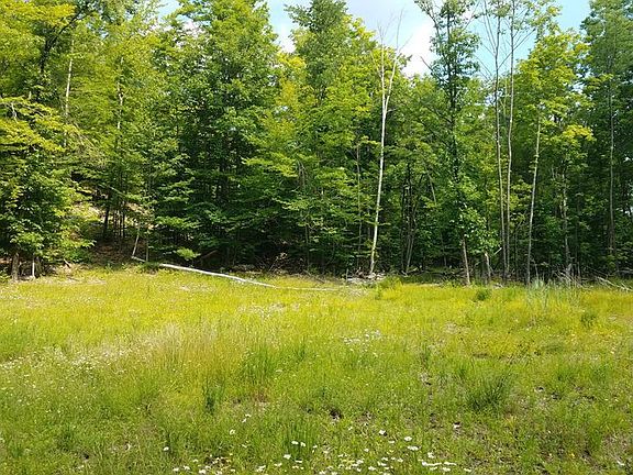 2nd image of Lincoln Pond Road