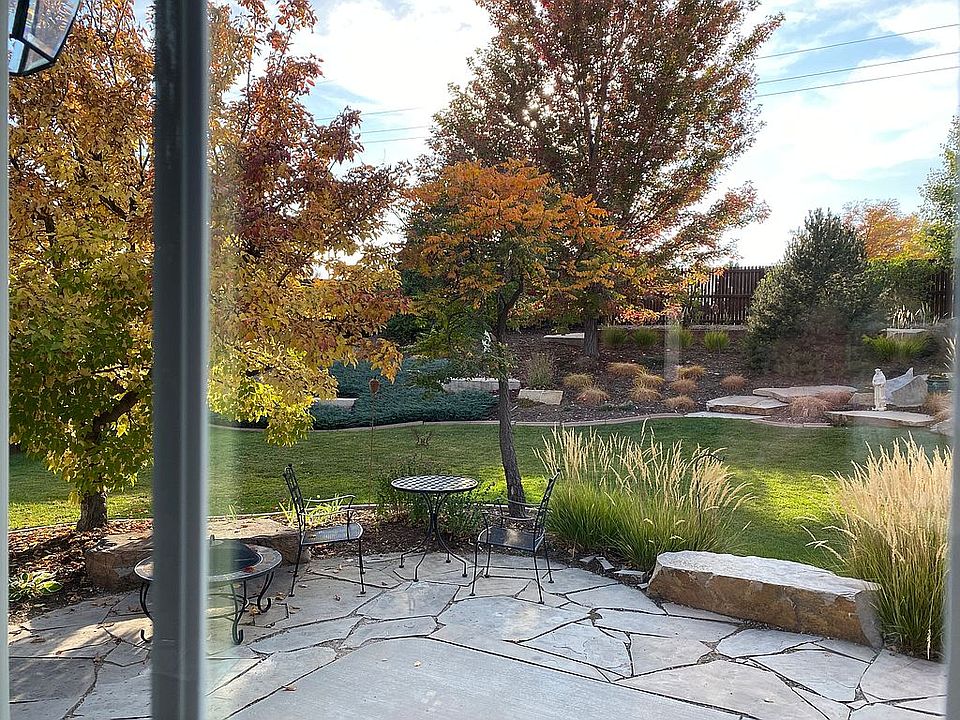 Autumn Backyard
