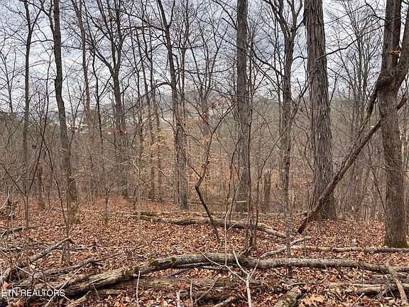 4th image of McGaha Hollow Rd