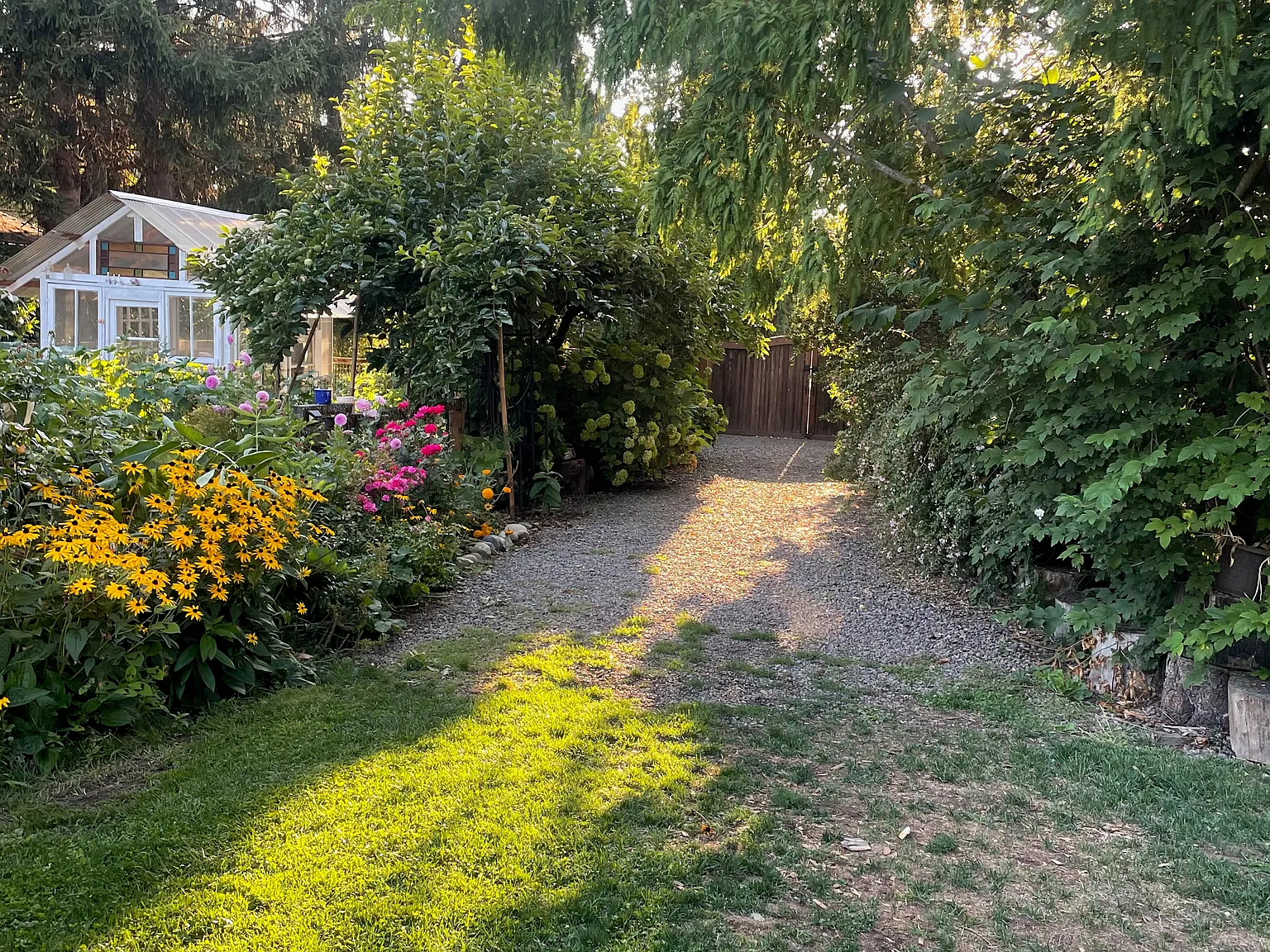 1 bed, 775 sqft, $2,100 — Photo 3