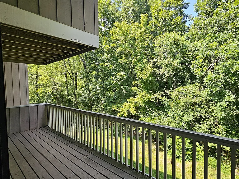 800 Reads Lake Rd #317 — Photo 9