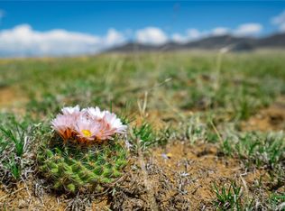 514 Chase Gulch Rd #18, Lake George, CO 80827