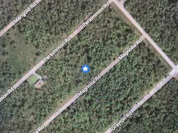 322 & 323 Magnolia Road, Boiling Spring Lakes, NC 28461