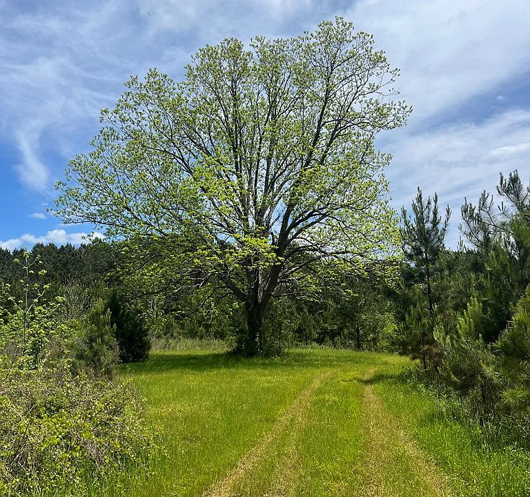 2nd image of County Road 119