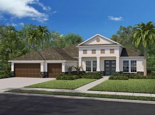 3328 Anna George Dr, Valrico, FL 33596