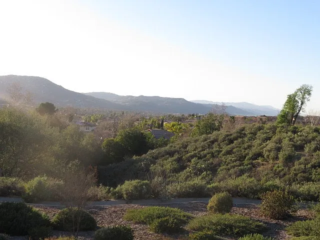 32916 Vine St — Photo 16