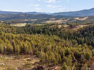8570 S Warhawk Rd, Conifer, CO 80433