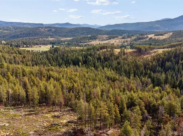 8570 S Warhawk Road, Conifer, CO 80433