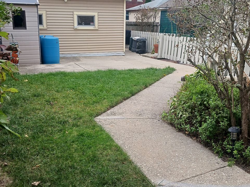 Shared backyard.