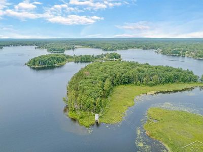 394 Happys Island Rd, Hale, MI, 48739