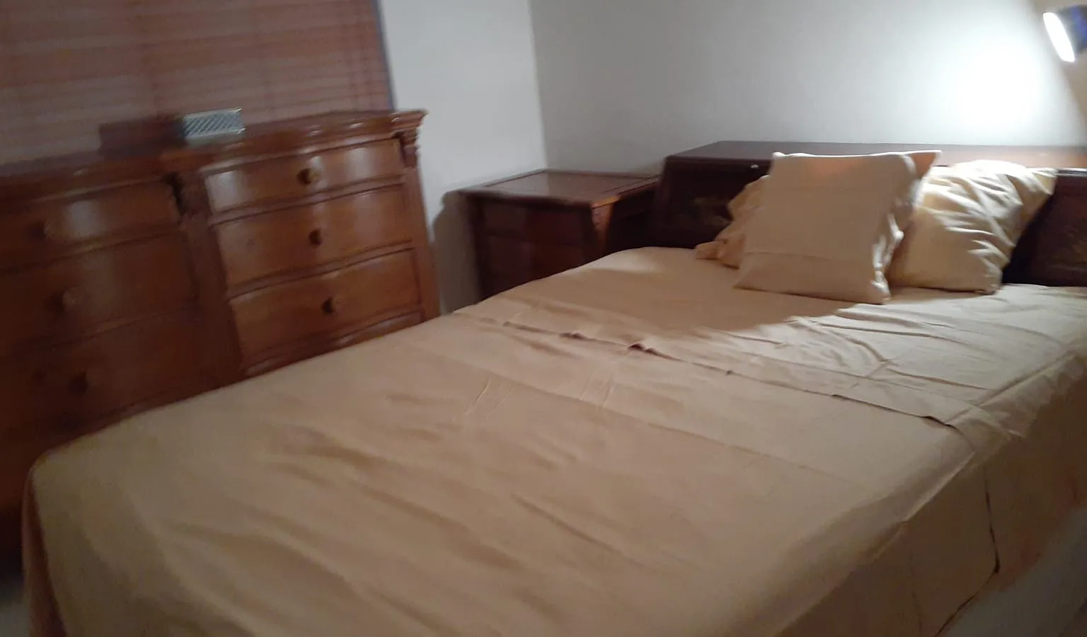 1 bed, $850 — Photo 2