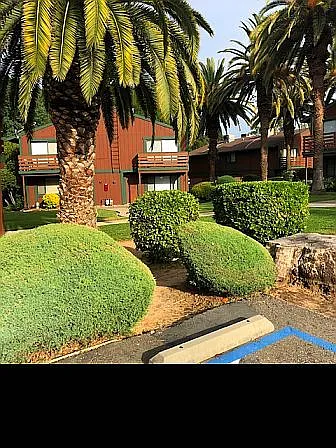 Myrtle Oaks Apartments — Photo 3