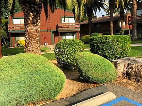Myrtle Oaks Apartments